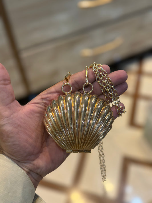 Beautiful shell clutch