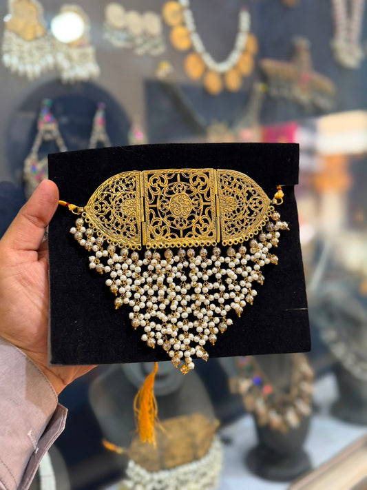 Stylish Designer Choker Set with Earrings_New Arrival