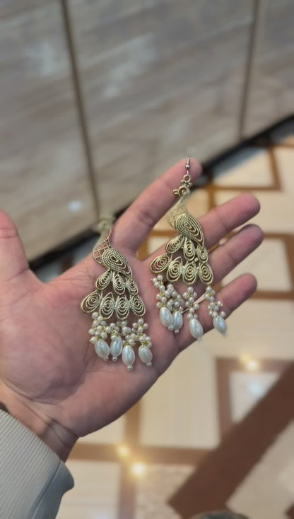 Stylish Peacock EarRings